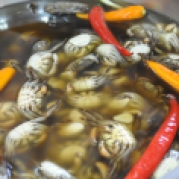 Little pickled crabs ready to be added to Som Tam or green papaya salad.
